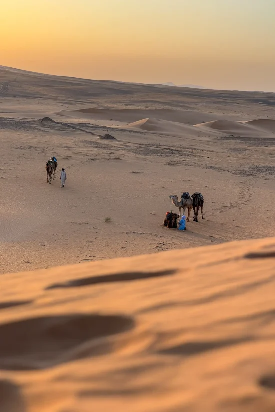 Camel caravan crossing the dunes