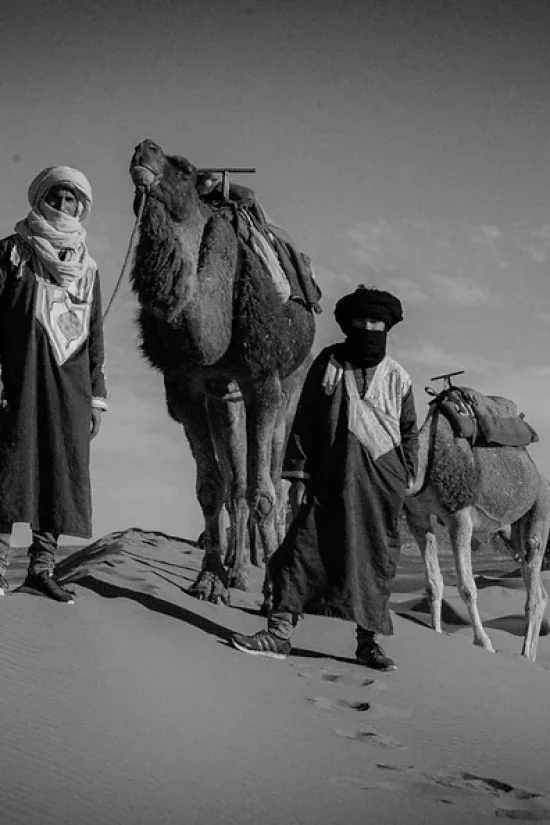 Nomads with camels in the desert